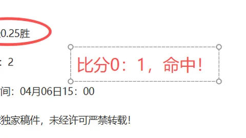 土杯连胜三场费内巴切专家分析大都会挑战